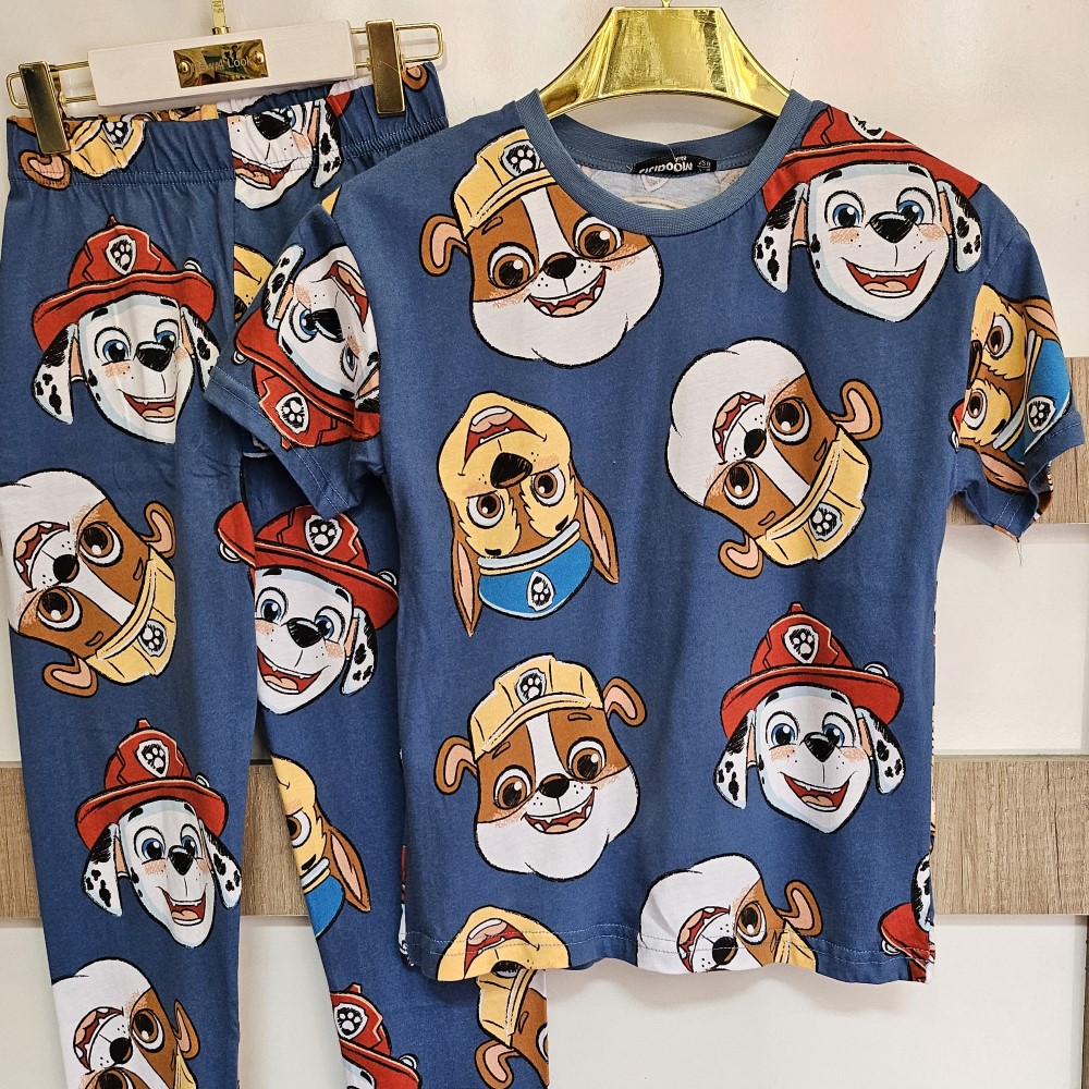 Paw Patrol