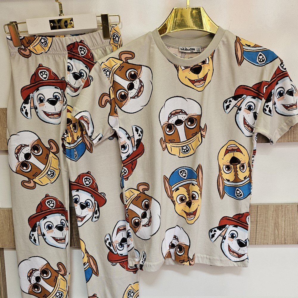 Paw Patrol